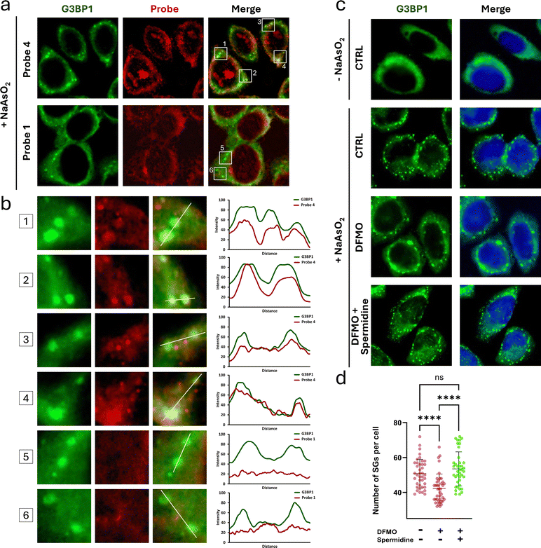 image file: d5cb00103j-f4.tif