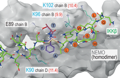 image file: d5cb00282f-f2.tif