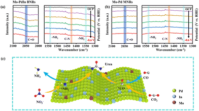 image file: d4cc04927f-f4.tif