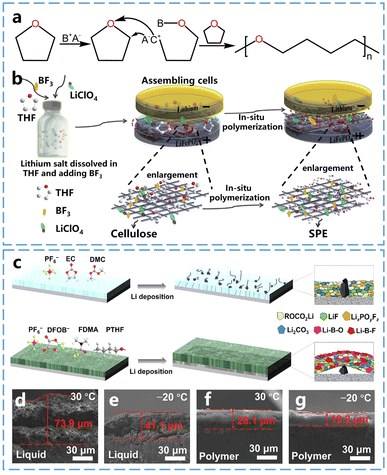 image file: d4cc04932b-f4.tif