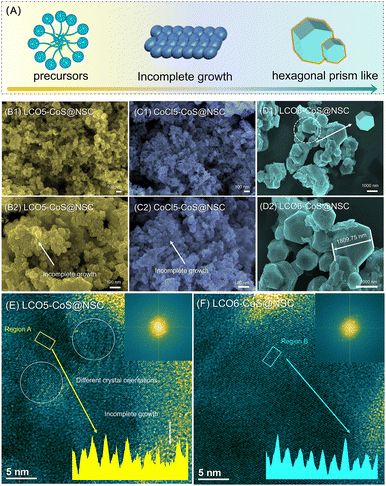 image file: d4cc05473c-f2.tif