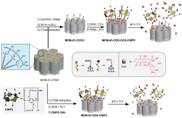 image file: d4cc05660d-f1.tif