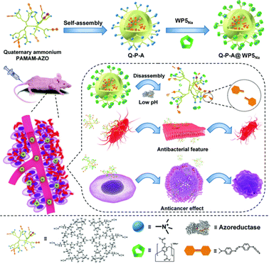 image file: d4cc05660d-f10.tif