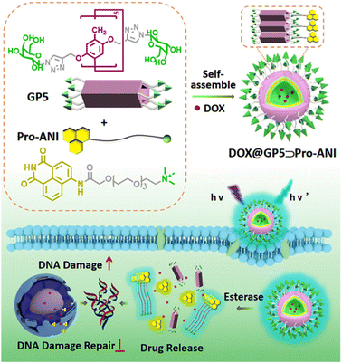 image file: d4cc05660d-f12.tif