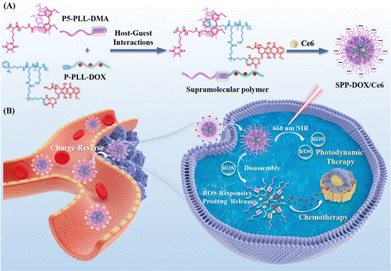 image file: d4cc05660d-f15.tif