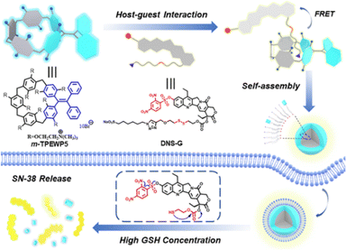 image file: d4cc05660d-f16.tif