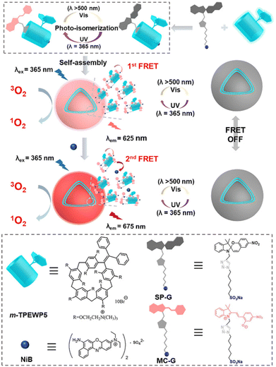 image file: d4cc05660d-f17.tif