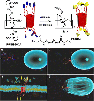 image file: d4cc05660d-f18.tif