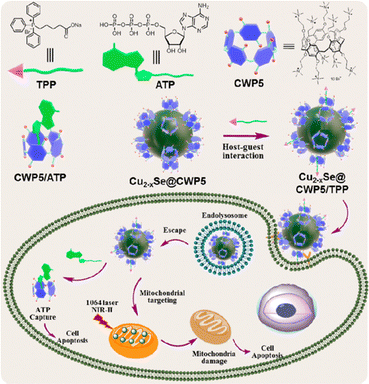 image file: d4cc05660d-f3.tif