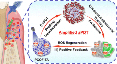 image file: d4cc05660d-f5.tif