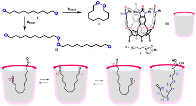 image file: d4cc05733c-f6.tif