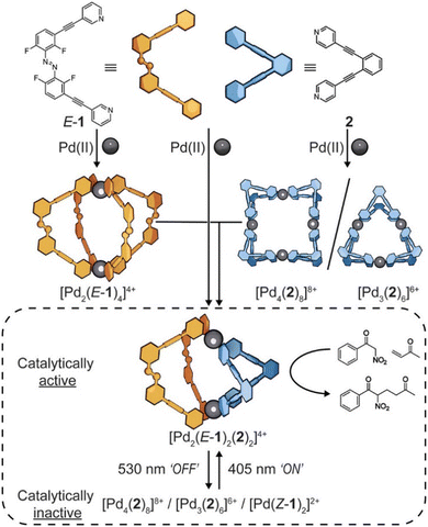 image file: d4cc05733c-f7.tif