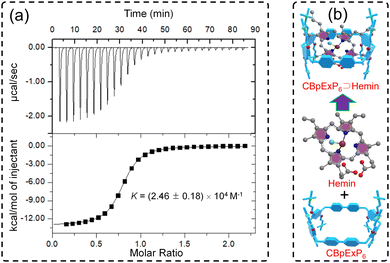 image file: d5cc00627a-f1.tif