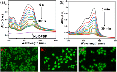 image file: d5cc00627a-f2.tif
