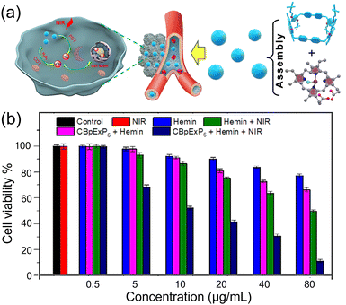 image file: d5cc00627a-f3.tif
