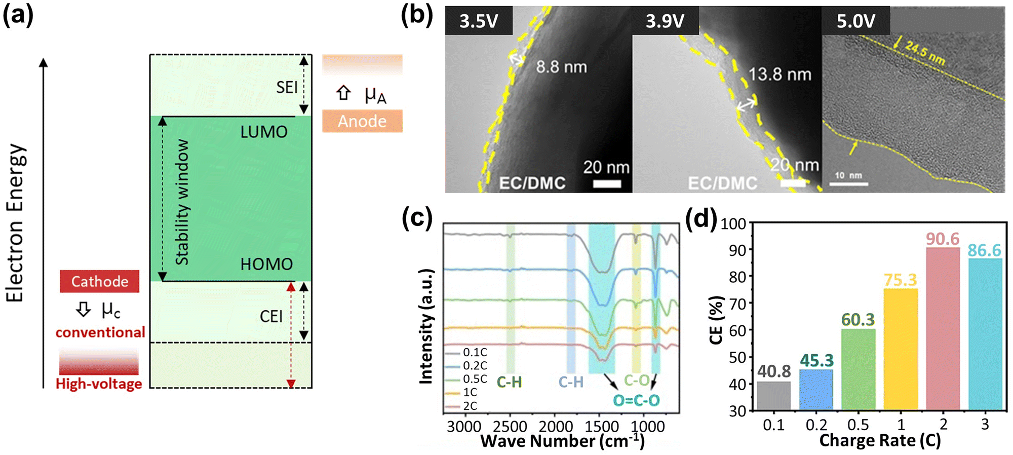Electrolyte solution chemistry and interface dynamics for