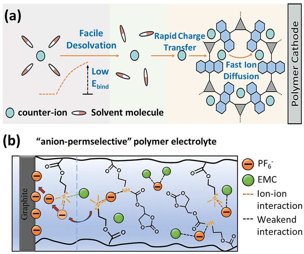 Electrolyte solution chemistry and interface dynamics for