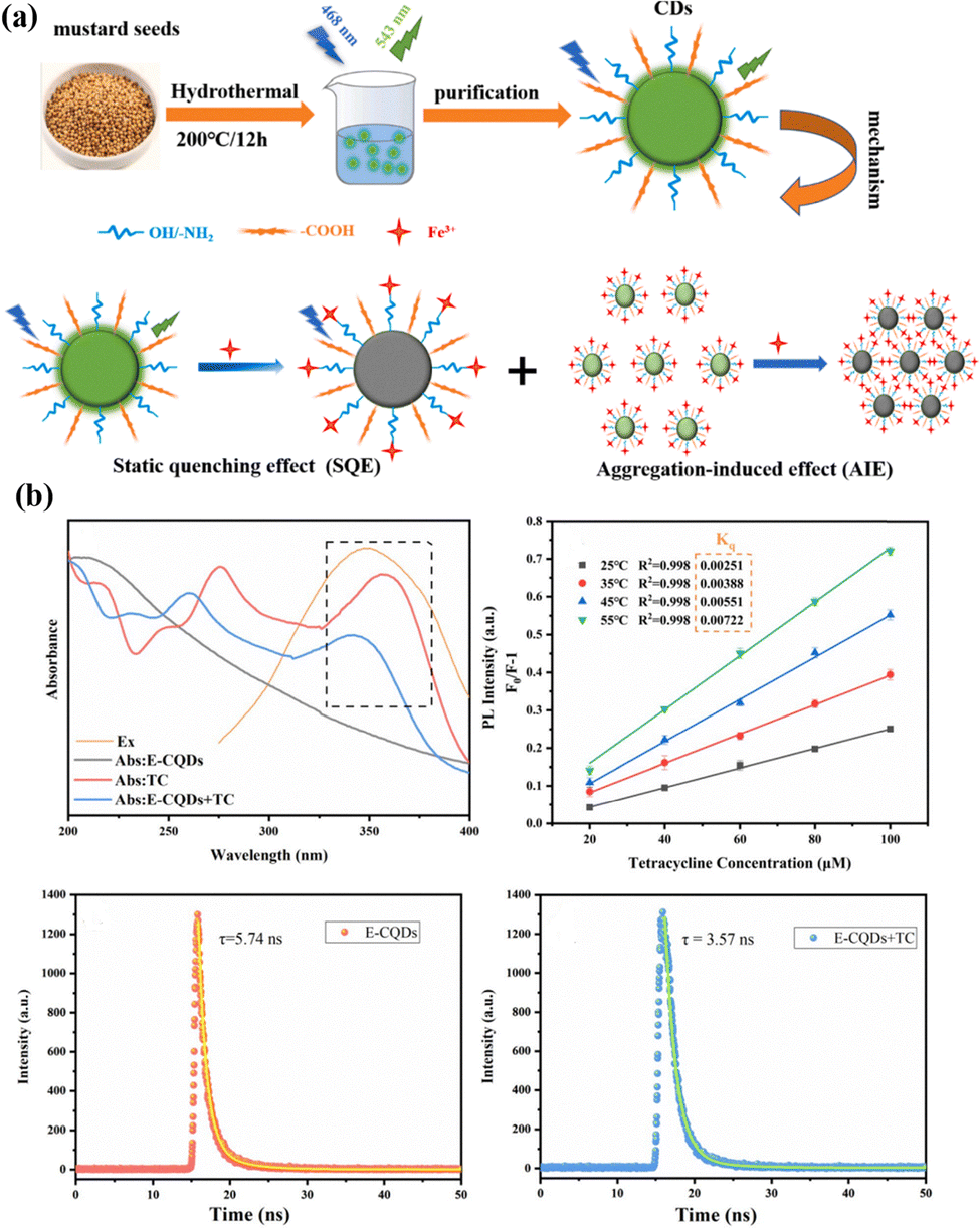 Biomass-derived carbon quantum dots as fluorescent probes for