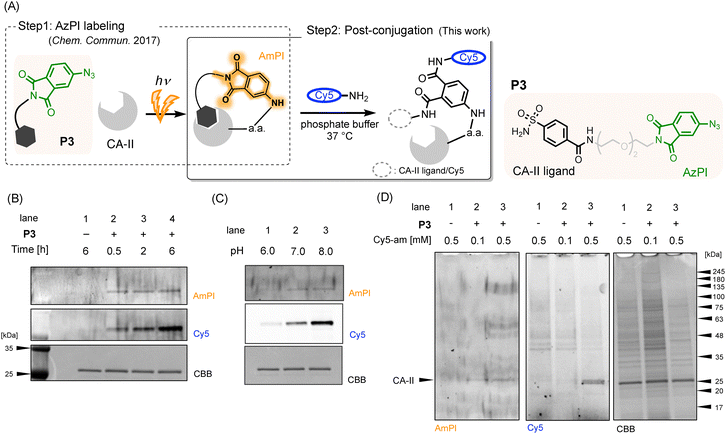 image file: d5cc03171k-f3.tif