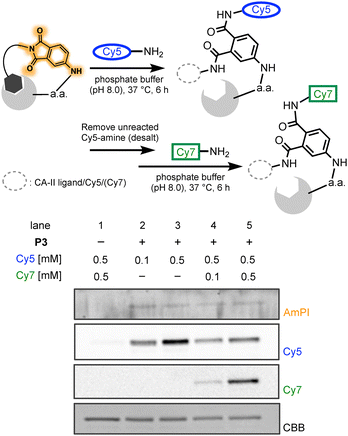 image file: d5cc03171k-f4.tif