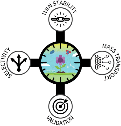 image file: d5cc03295d-f1.tif