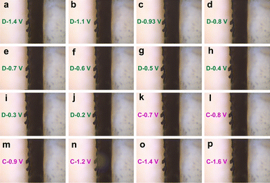 image file: d5cc03323c-f4.tif