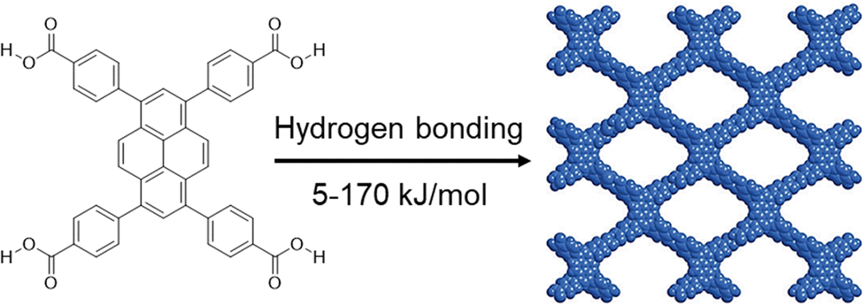 カルロス フォーム Single-Domain Antibodies as Antibody–Drug Conjugates: From