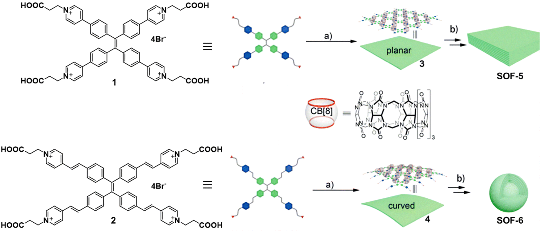 カルロス フォーム Conventional and Non-Conventional Roles of Non-Muscle Myosin