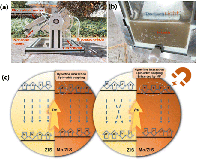 image file: d5cc04056f-f12.tif