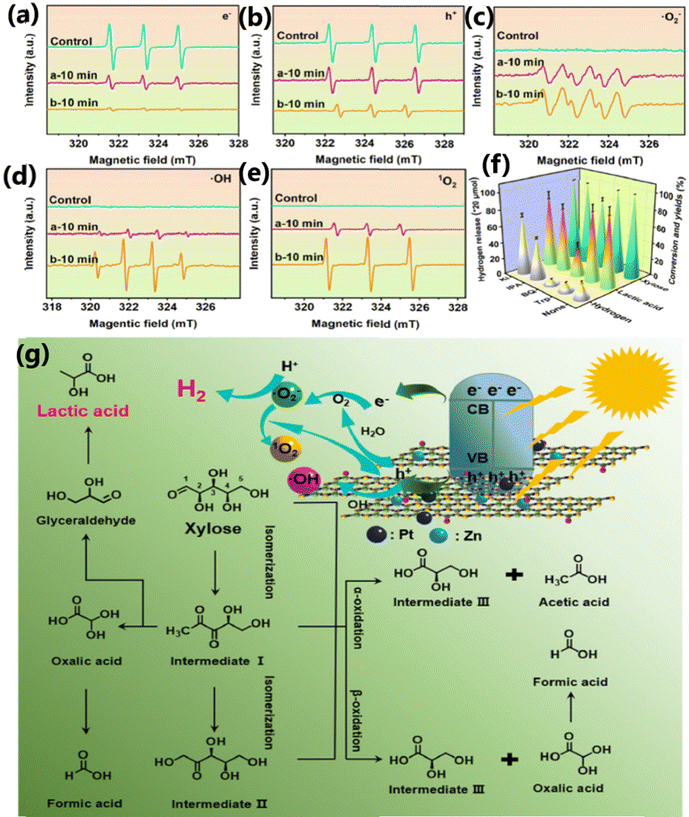 image file: d5cc04056f-f17.tif