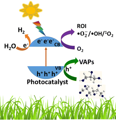 image file: d5cc04056f-f2.tif