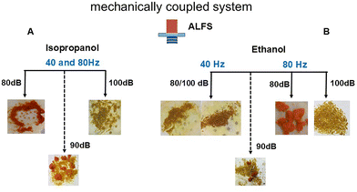 image file: d5cc04356e-f4.tif