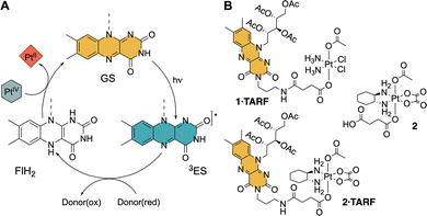 image file: d5cc04792g-f1.tif