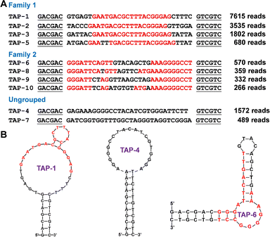 image file: d5cc04872a-f1.tif