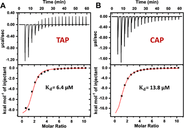 image file: d5cc04872a-f3.tif