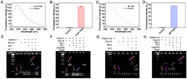 image file: d5cc04993h-f1.tif