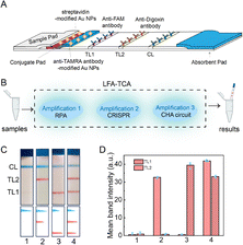 image file: d5cc04993h-f2.tif