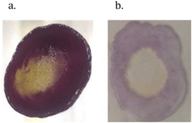 image file: d5ce00747j-f15.tif