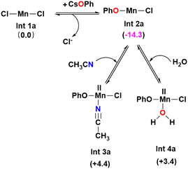 image file: d4cp02777a-s2.tif