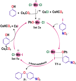 image file: d4cp02777a-s4.tif