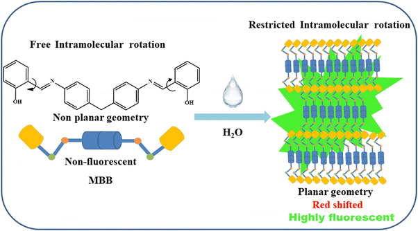 image file: d4cp04294h-s2.tif