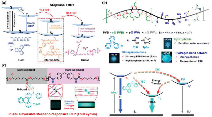 image file: d4cp04641b-f4.tif