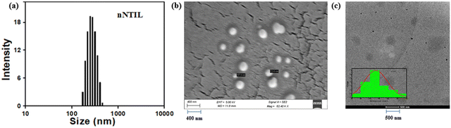 image file: d4cp04660a-f2.tif