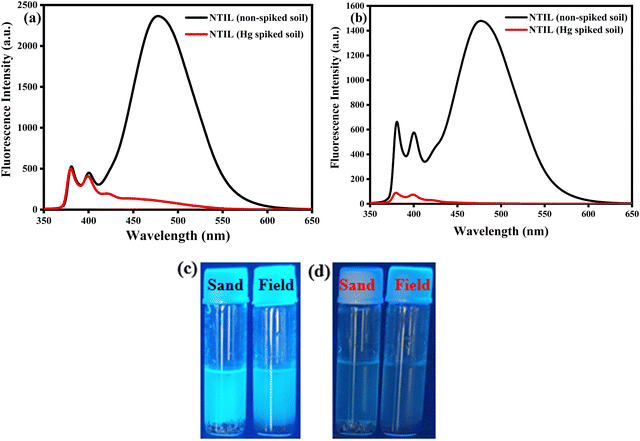 image file: d4cp04660a-f7.tif