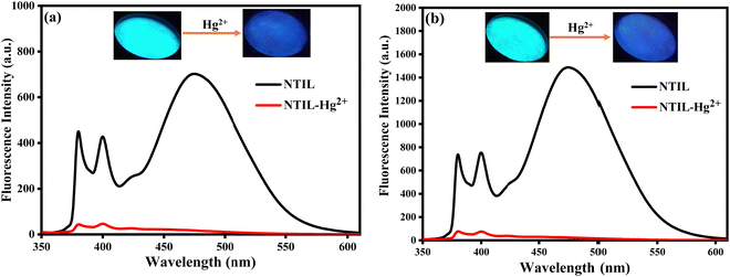 image file: d4cp04660a-f9.tif