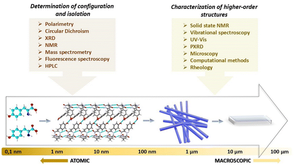 image file: d5cp01562f-f2.tif