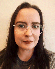 image file: d5cp01562f-p1.tif