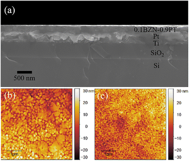 image file: d5cp02016f-f2.tif