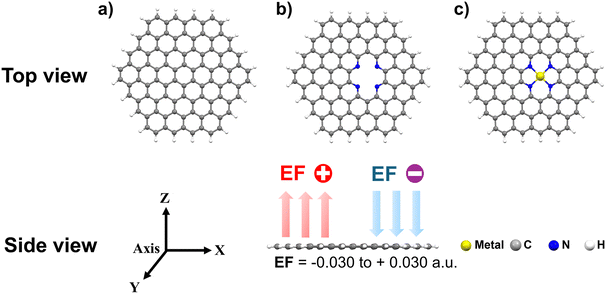 image file: d5cp02152a-f1.tif