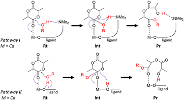 image file: d5cp02229k-s2.tif